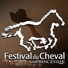 Thumb festival du cheval