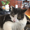 Thumb img 0646