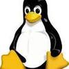Thumb linux