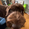 Thumb img 1608