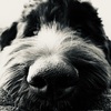Thumb img 0448