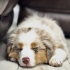 Thumb img 1549