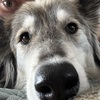 Thumb img 4954